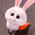 Cas Diph