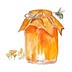 wholenaturalkitchen.com