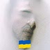 Constantin Cornea