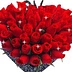 NOhad Fleur