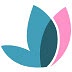 steptohealth.com
