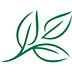 mrswages.com