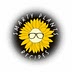 smartyplantsrecipes.com
