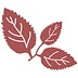 saltedmint.com