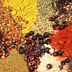 saporidelmondo-blog.com