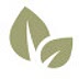thehealthyfoodie.com
