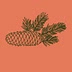 gritsandpinecones.com