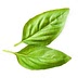 servedfromscratch.com