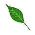 mintykitchen.com