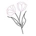 twopinkpeonies.com
