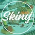 skinytaste.net