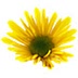 artofnaturalliving.com