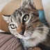 Kit