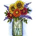 homeatcedarspringsfarm.com