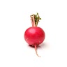 radish