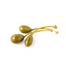 3tbsp capers, rinsed