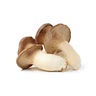 1.5 cups mushrooms, cut into chunks or slices (fancy mushrooms like shiitake are great here, but any will do.)