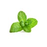 handful of mint