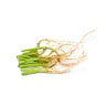 -1 tbsp conriander roots