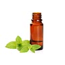 1 teaspoon Mint essence