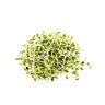 Flat-leaf parsley and/or microgreens for garnish