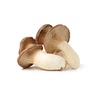 3 large king oyster mushrooms