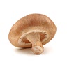 5 oz Shiitake mushrooms (thinly sliced)