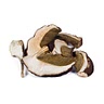 20 grams dried porcini mushrooms