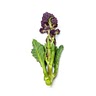 250g purple sprouting broccoli, or Tenderstem, cut into 5cm-long pieces and thick stalks cut in half lengthways