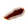 2 teaspoons vanilla bean paste (or vanilla extract)