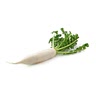 1 white radish (medium)