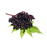 4-6 tbsp dried organic elderberries