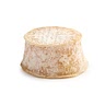 1 crottin de chèvre sec