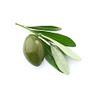 1 cup Castelvetrano olives