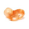 Onion skin