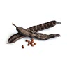 • 200g carob