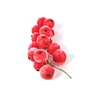 45g redcurrant (frozen)