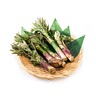 두릅800g, 소