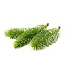2 cup pine needles