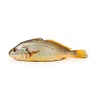 Ombrina 1 kg