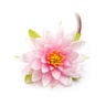 -200g lotus