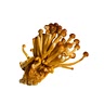 100 g gold enoki mushrooms