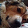 QueenWoofy 2k9