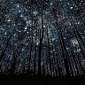 Cyd Faythe