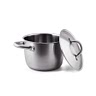 1 very large stainless steel pot
