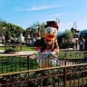 disney like me