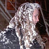 Yvonne Shetzline