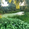 Palmereap