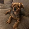 liltobey
