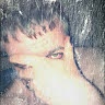 Stephen L